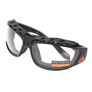 Anti Fog Goggles